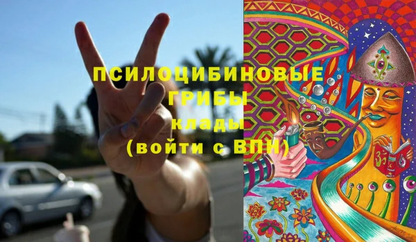 трава Арсеньев