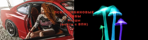 трава Арсеньев