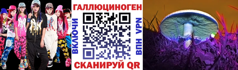Галлюциногенные грибы Cubensis  Светлогорск 
