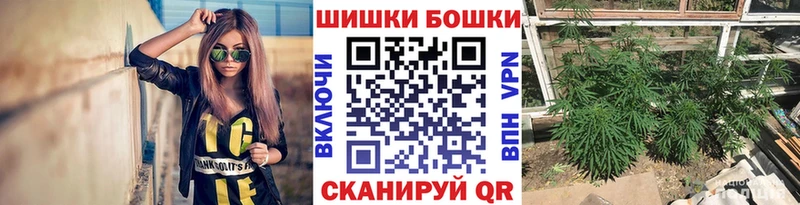 Канабис Ganja  купить наркотики цена  Светлогорск 